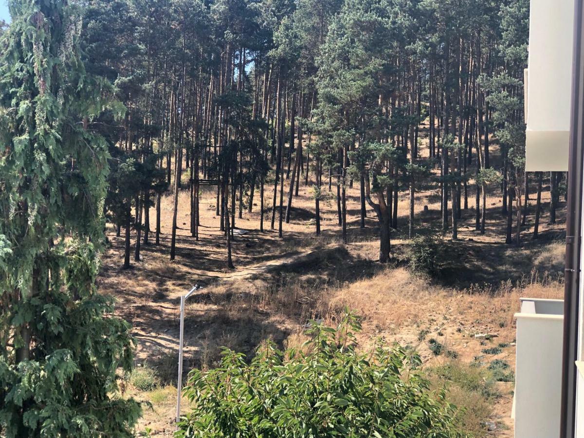 דירות ולינגראד Borov Park 3 מראה חיצוני תמונה